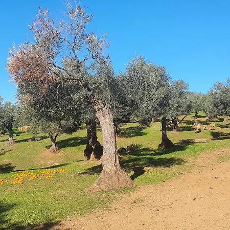 Tatil Evi Huerta Carrion, En *