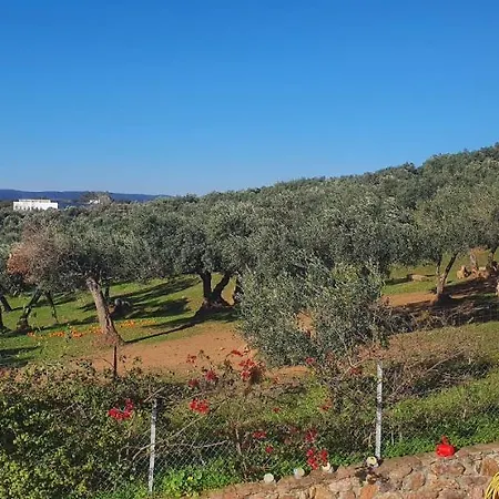 Huerta Carrion, En Tatil Evi